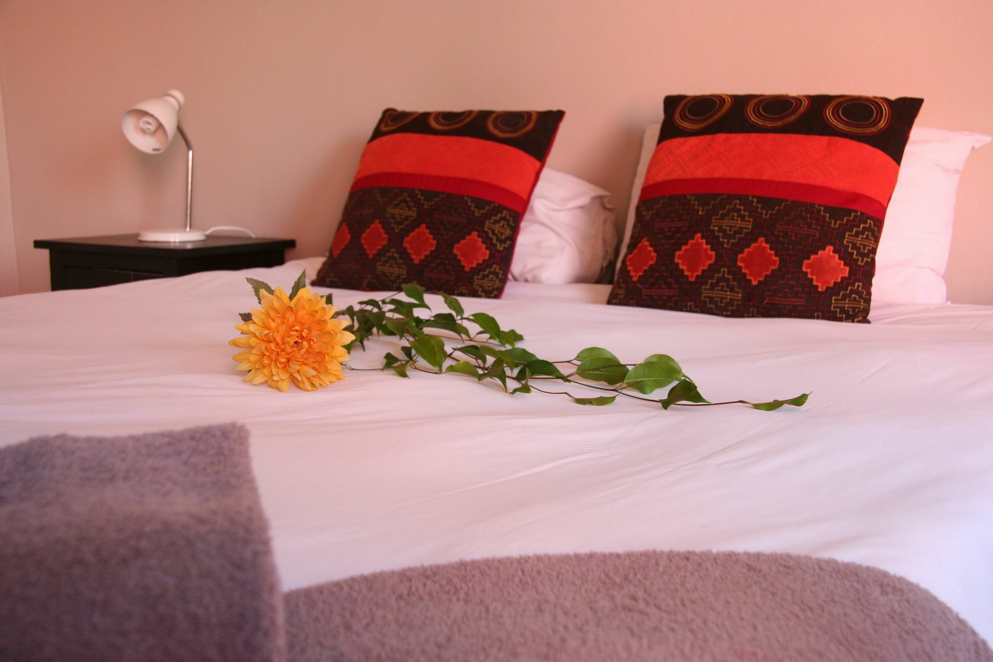 Dunedin Star Guesthouse Swakopmund Eksteriør bilde
